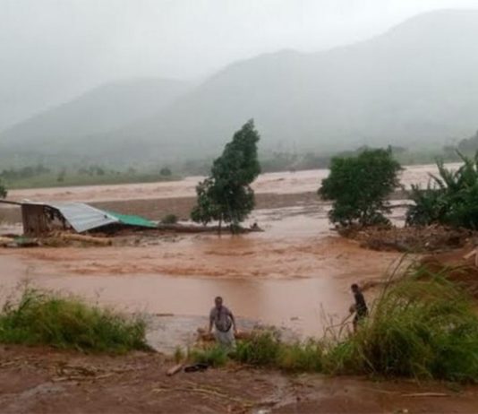 Mango tree saves top Malawian musician from death in floods