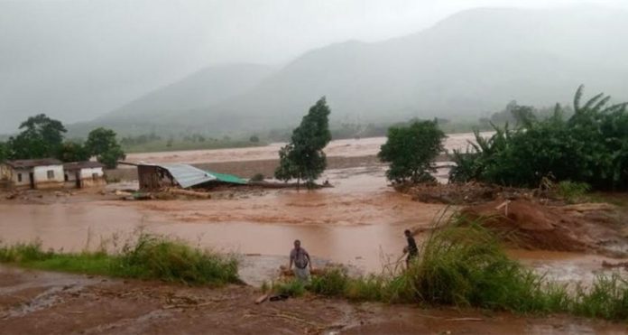 cyclone-freddy Mango tree saves top Malawian musician from death in floods
