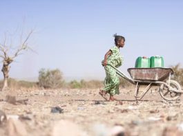 Droughts bring disease: here are 4 ways they do it