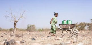 Droughts bring disease: here are 4 ways they do it