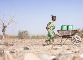 Droughts bring disease: here are 4 ways they do it