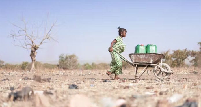 drought Droughts bring disease: here are 4 ways they do it