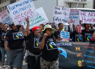 Workers demand harsher penalties for farms violating labour laws