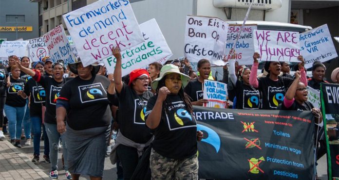 farm-workers Workers demand harsher penalties for farms violating labour laws