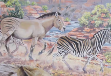 New discovery: fossilised giant zebra tracks found in South Africa