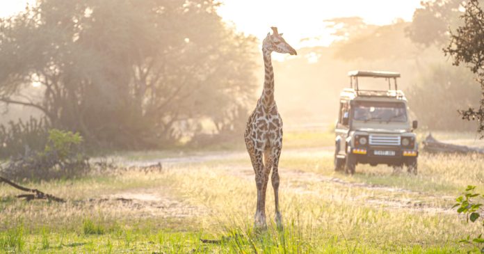 Kruger National Park wins one of World's Top 20 Best Nature Destinations Award for 2023 Kruger National Park wins one of World's Top 20 Best Nature Destinations Award for 2023