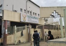 Immigration activists launch detention hotline as calls for help increase