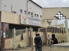 Immigration activists launch detention hotline as calls for help increase