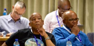 Eskom workers to assist government in resolving load shedding