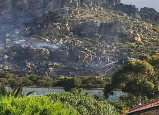 Climate change almost doubles the risk of wildfires in Cape Town, study shows
