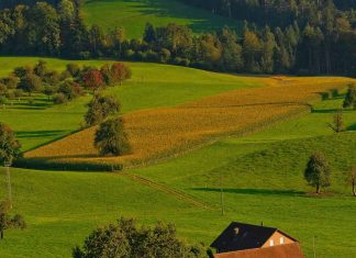 Public pressure needed to stop Expropriation Bill which seriously threatens private property rights