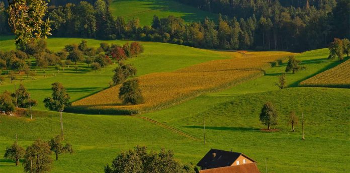 ricardo-gomez-unsplash Public pressure needed to stop Expropriation Bill which seriously threatens private property rights