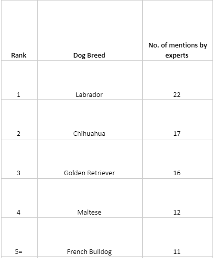 research on dog breeds The Best Dog Breeds For Car Travel