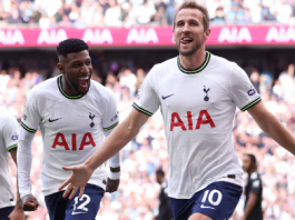 DA welcomes canning of R1 billion Tottenham Hotspur deal