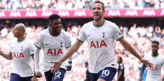 DA welcomes canning of R1 billion Tottenham Hotspur deal