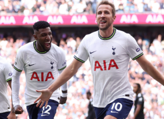 DA welcomes canning of R1 billion Tottenham Hotspur deal
