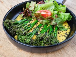 HSI/Africa and ProVeg South Africa launch ‘My Plant-Based City’ map to finding veg-friendly restaurants in the Mother City.