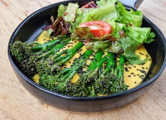 HSI/Africa and ProVeg South Africa launch ‘My Plant-Based City’ map to finding veg-friendly restaurants in the Mother City.