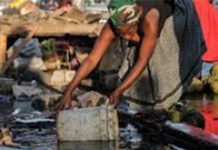 Government concerned over locally acquired indigenous cholera cases