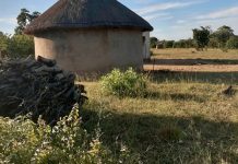 I left Zimbabwe to live in South Africa. I want to go back. This is why it’s hard.