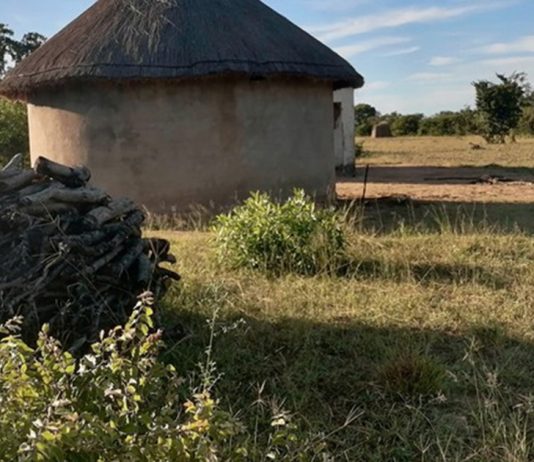 I left Zimbabwe to live in South Africa. I want to go back. This is why it’s hard.