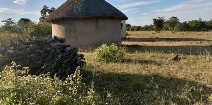 zimbabwean-homestead I left Zimbabwe to live in South Africa. I want to go back. This is why it’s hard.