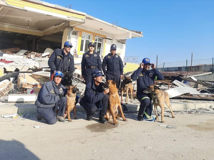 SAPS Turkey earthquake award K9 dogs Turkey’s President awards SAPS K9 unit for earthquake efforts