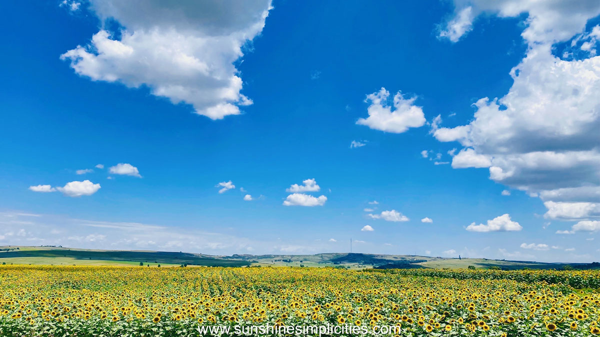 Thaba Nchu - Free State