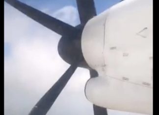 airplane cricket