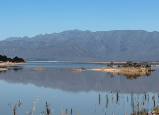 Western Cape dam levels