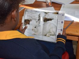literacy-book