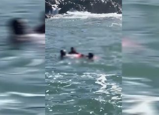 Another incredible Pink Buoy rescue in South Africa