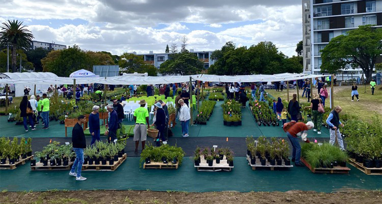 Indigenous plant nursery run by homeless people brings new life to