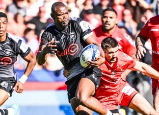 South African club rugby adventure in Europe ends in the quarter-finals. Photo: SARugby