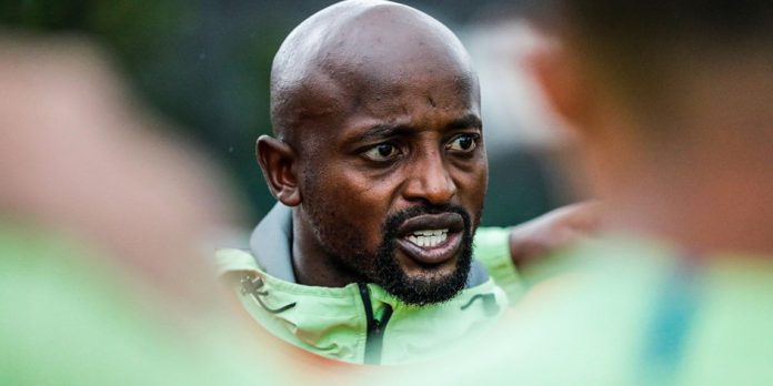 sandile ngcobo blitzboks sandile ngcobo blitzboks