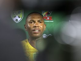 Andile Jali