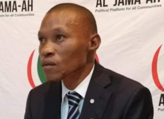 mayor of Johannesburg