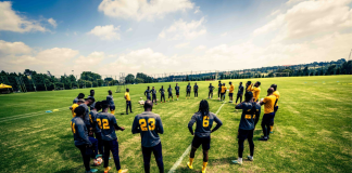 Kaizer Chiefs PSL