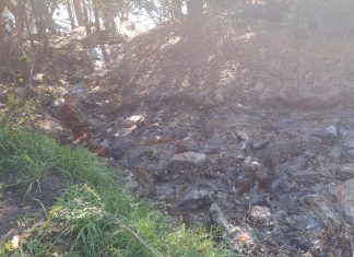 Raw sewage flows in the direction of the Vaal River