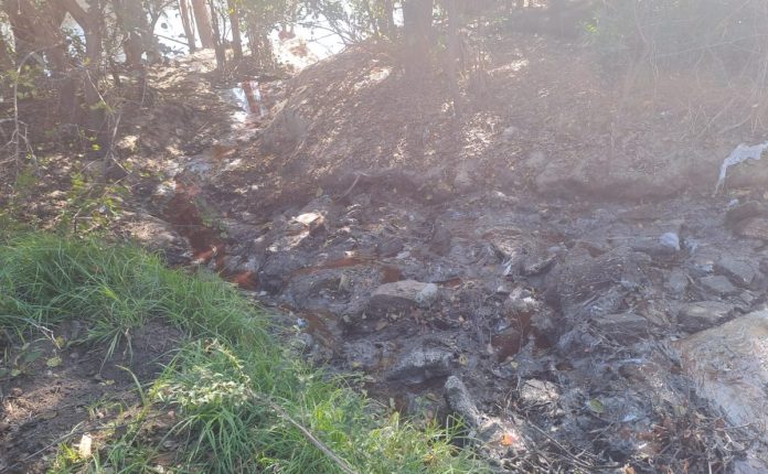 Raw sewage flows in the direction of the Vaal River