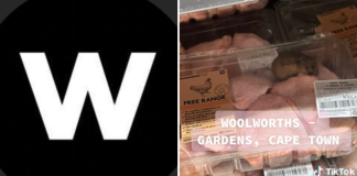 Woolworths rat
