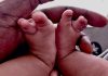 babies put in boxes