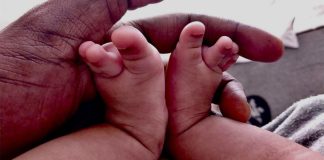 babies put in boxes
