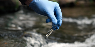 Cholera Outbreak South Africa