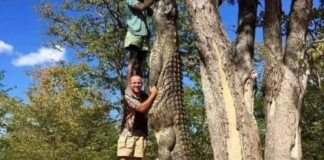 men capture crocodile