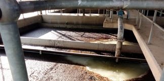 Deadly cholera outbreak was just a matter of time