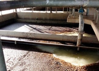 Deadly cholera outbreak was just a matter of time