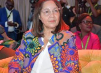 De Lille keen to see growth in SA tourism