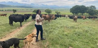 Revived farm scoops presidential award