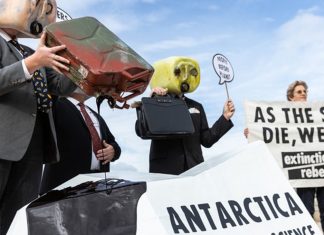 Hands off Antarctic, demand protesters
